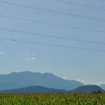 招待所 Kaernten 沃尔特湖畔韦尔登